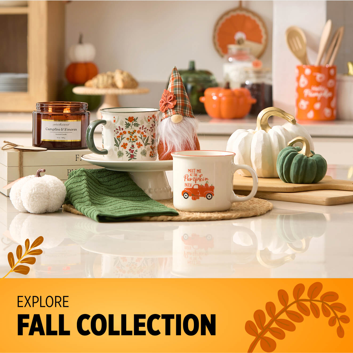 Explore Fall Collection