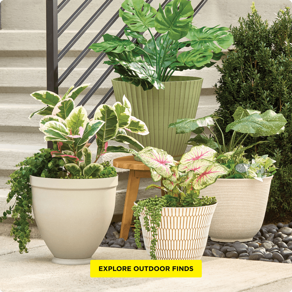 Explore Outdoor Living