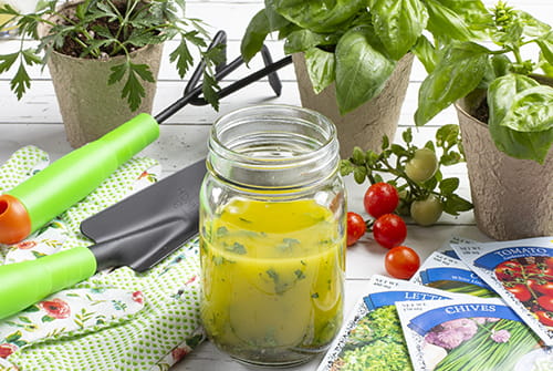 Herb Salad Dressing Recipe
