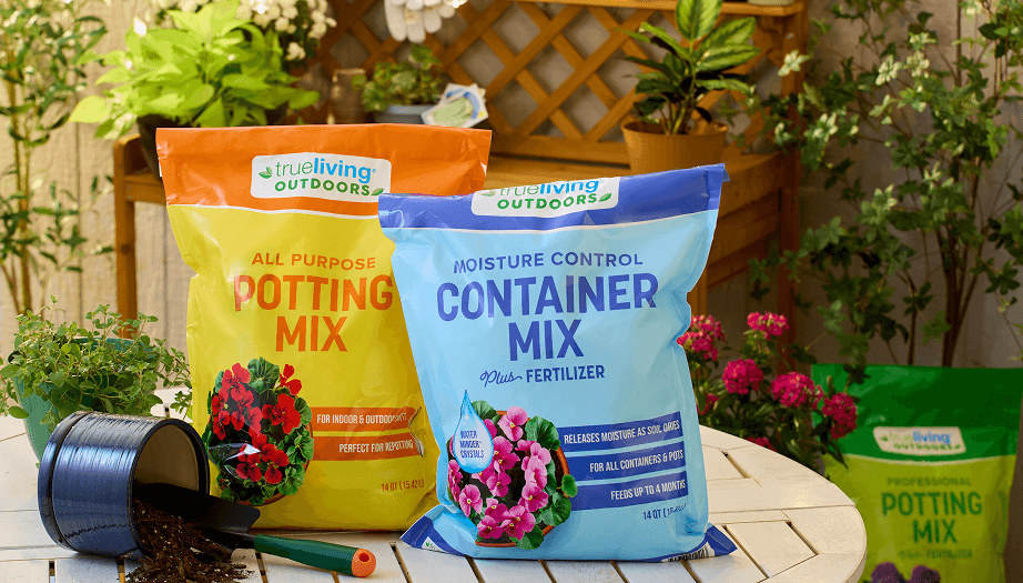 Refresh Your Outdoor Space